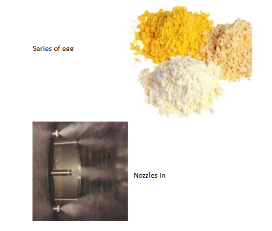 SGS Rotary Atomizer 10kg/H Egg Powder Spray Dryer 8